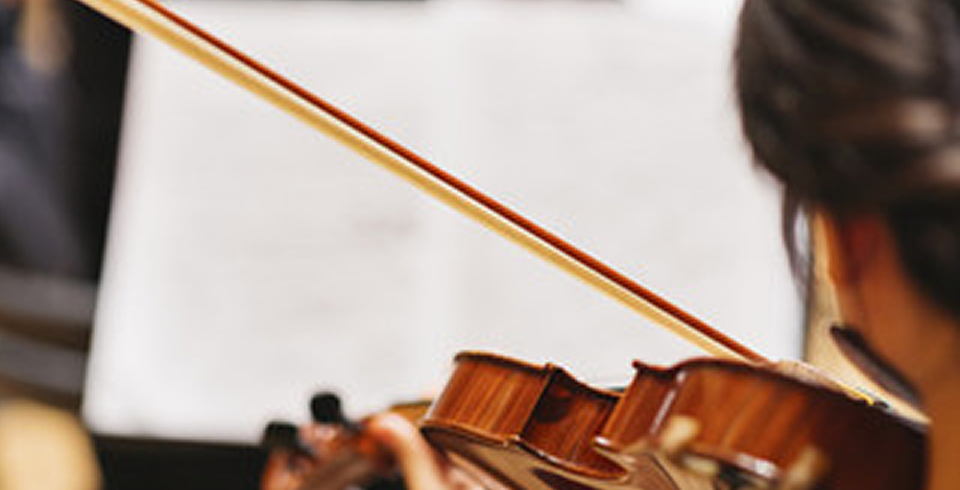 Accademia d'archi Arrigoni