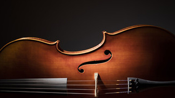 Piccolo Violino Magico a Corno di Rosazzo
