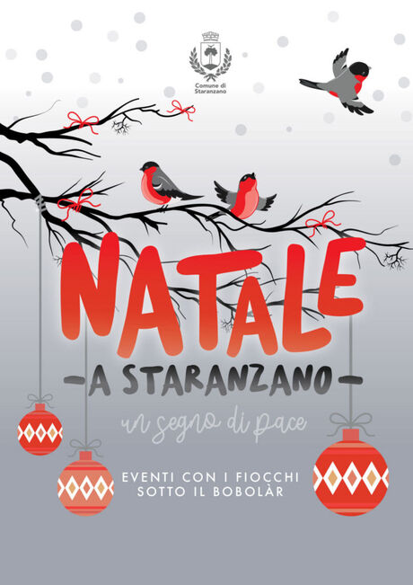 Accademia d'archi Arrigoni