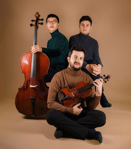 Accademia d'archi Arrigoni