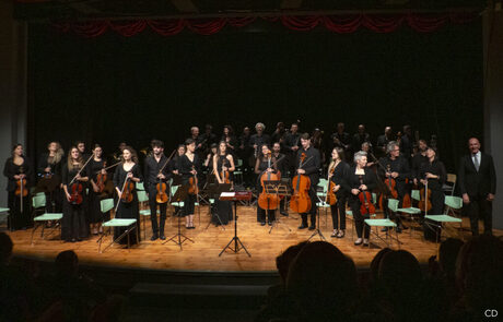 Accademia d'archi Arrigoni