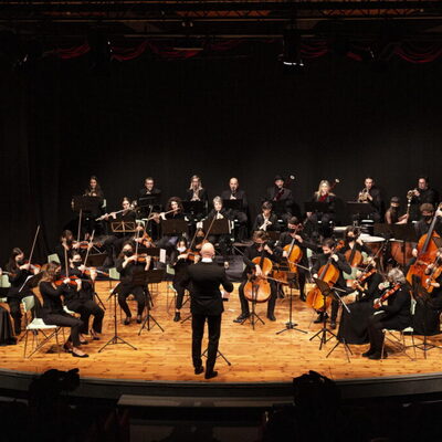 Accademia d'archi Arrigoni