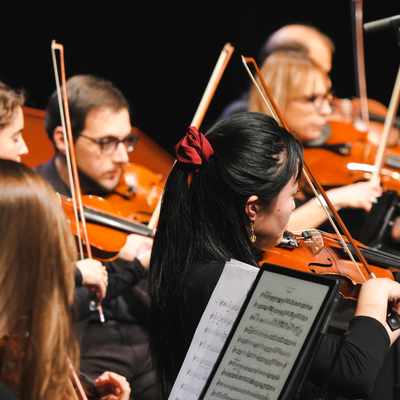 Accademia d'archi Arrigoni